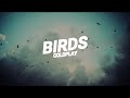 Coldplay - Birds [Letra en Español - Inglés]