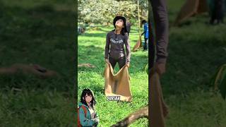Download lagu Have you ever heard the sound of a falling durian? 😯💥 Here's the explanation! mp3