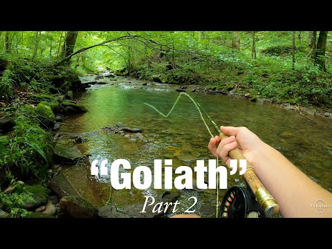Catching BIG Brook Trout in a BEAUTIFUL Creek! (GOLIATH pt. 2)