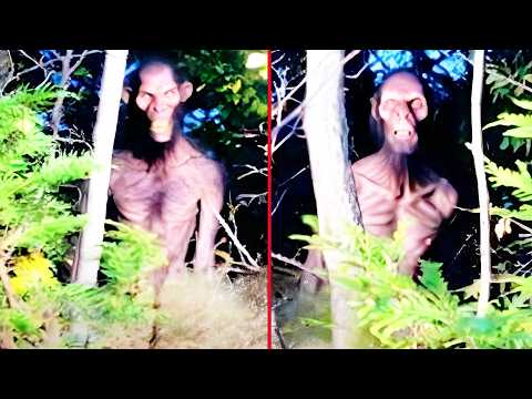 Top 10 Disturbing Things Caught Clearly on Camera