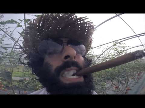 THE OVNI SHOW TEASER 👽👽👽 FUNNY AMAZING WTF WEB SERIES ✰ Full HD ༼ つ ▀̿_▀̿ ༽つ