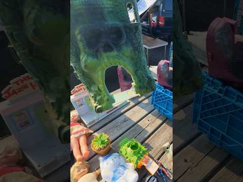 $2 MOTU Castle Grayskull?! Vintage Toy Hunt Insanity! #vintagetoys #toyhunting #fleamarketfinds