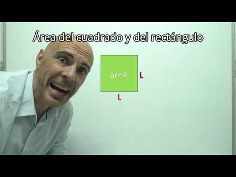 HALLAR EL ÁREA DEL CUADRADO Y DEL RECTÁNGULO (lado al cuadrado y base por altura)