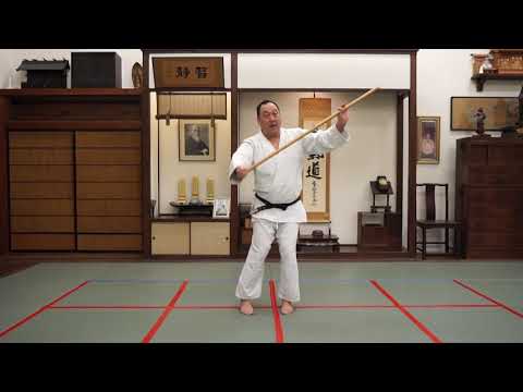 Advanced Jo Short Staff Skills with Ken Watanabe Sensei