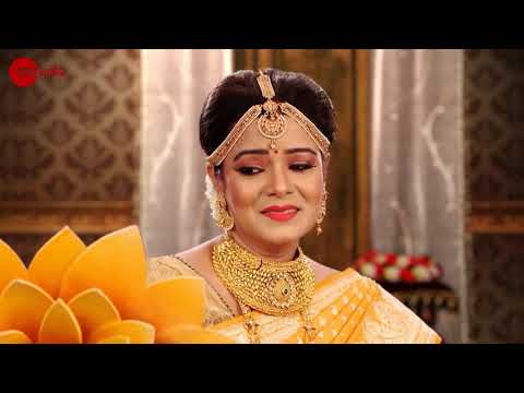 Sata Bhainka Sunanaki - Odia TV Serial - Full EP 316 - Zee Sarthak
