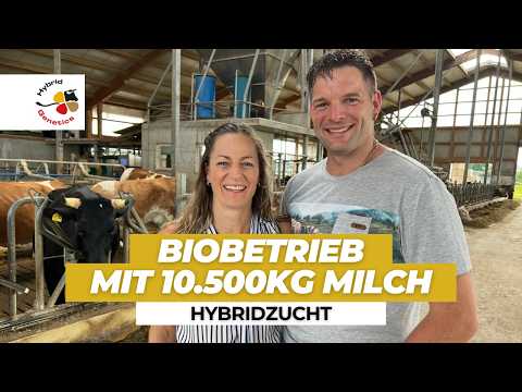 2 robots for 70 cows – uneconomical? No, the best decision!