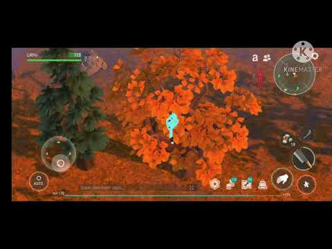 Versão economica/facil de farmar carvalho - Last Day On Earth