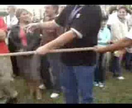 Pożegnanie Lata - Świdnik