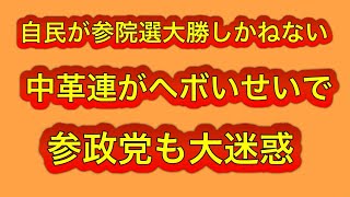 参政党にも大迷惑！中革連がだらしないせいで、参院選で自民が圧勝しかねない。
