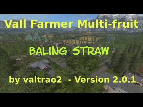 Vall Farmer Multi-fruit - Baling Straw - E8