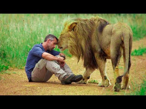 Ibintu bitangaje ku NTARE: Sobanukirwa Intare