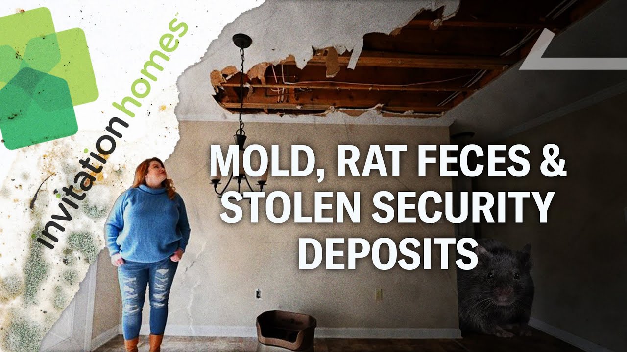 We Found the Worst Landlord in America