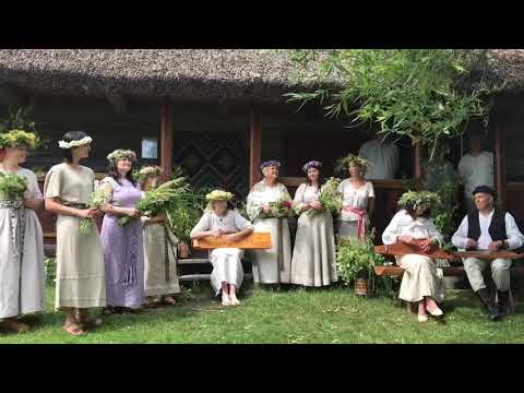 15/06/2019 Zemgales tūdaliņš koklēs