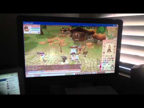 Flyff guild warehouse problem