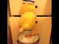 Twerking Duck