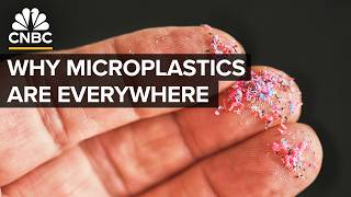 Why The Microplastics Crisis Will Only Get Worse