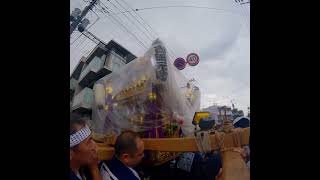 東峯八幡大神 大人神輿 #shorts #short