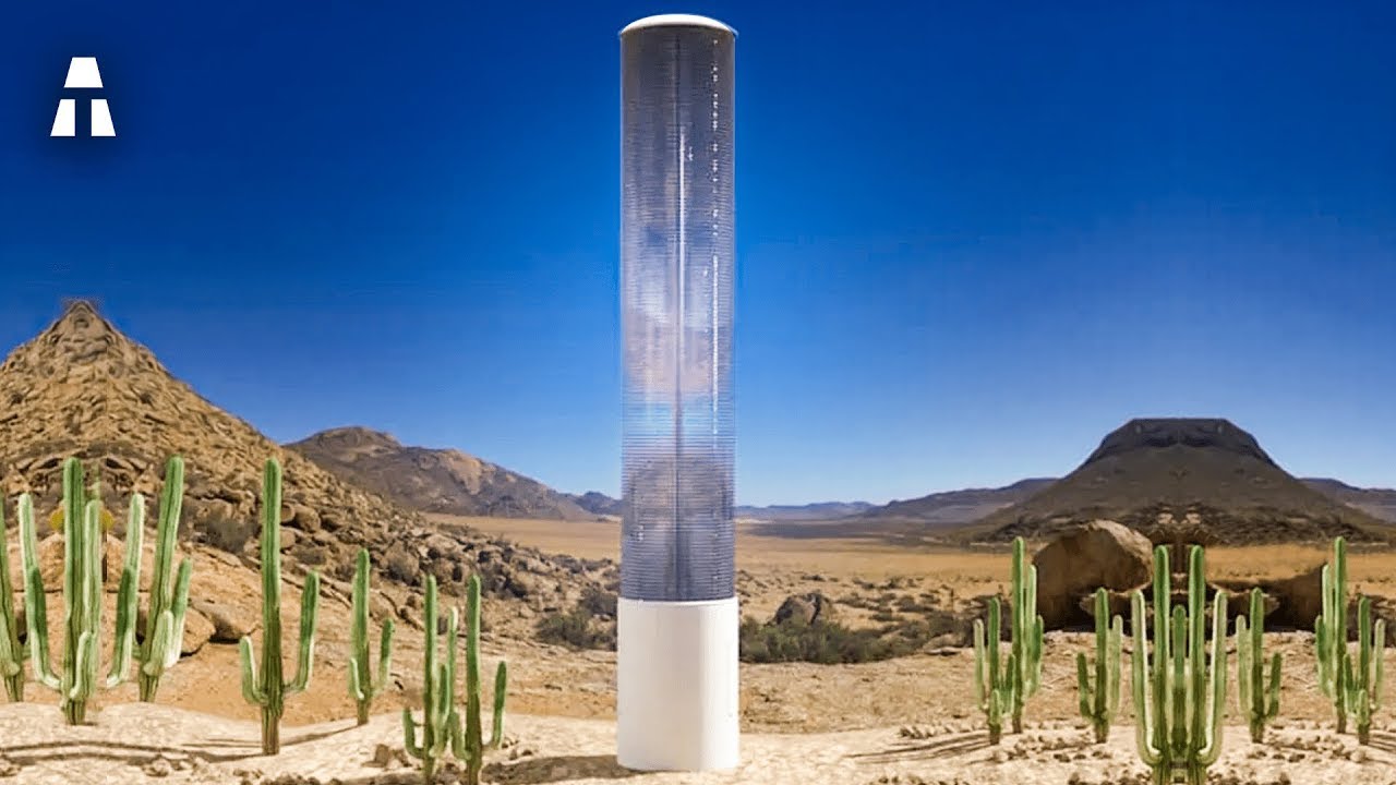 Estas Árvores Sugadoras de CO2 Podem Resolver o Aquecimento Global