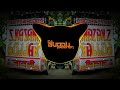 ARA RA MERI JAAN HAI RADHA UNIQE STYLE EDM MIX DJ GUDDU PRADHAN