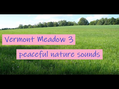 Vermont Meadow 3 (Ambiance, Slow TV - 4K UHD Stereo - 36 min)
