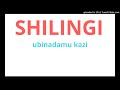 SHILINGI Ubinadamu Kazi