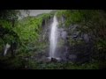 Jolie Fleur île de la réunion GoPro 