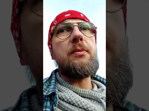 Akcja "Miś" liść w gminie Ornontowice