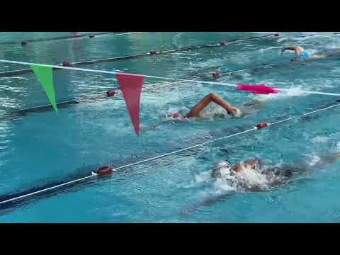 Novice Swimming Competition 2026