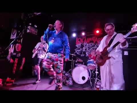 Die Lokalmatadore - Alt wie ein Baum (letzter Gig - Don't Panic 16.2.25)