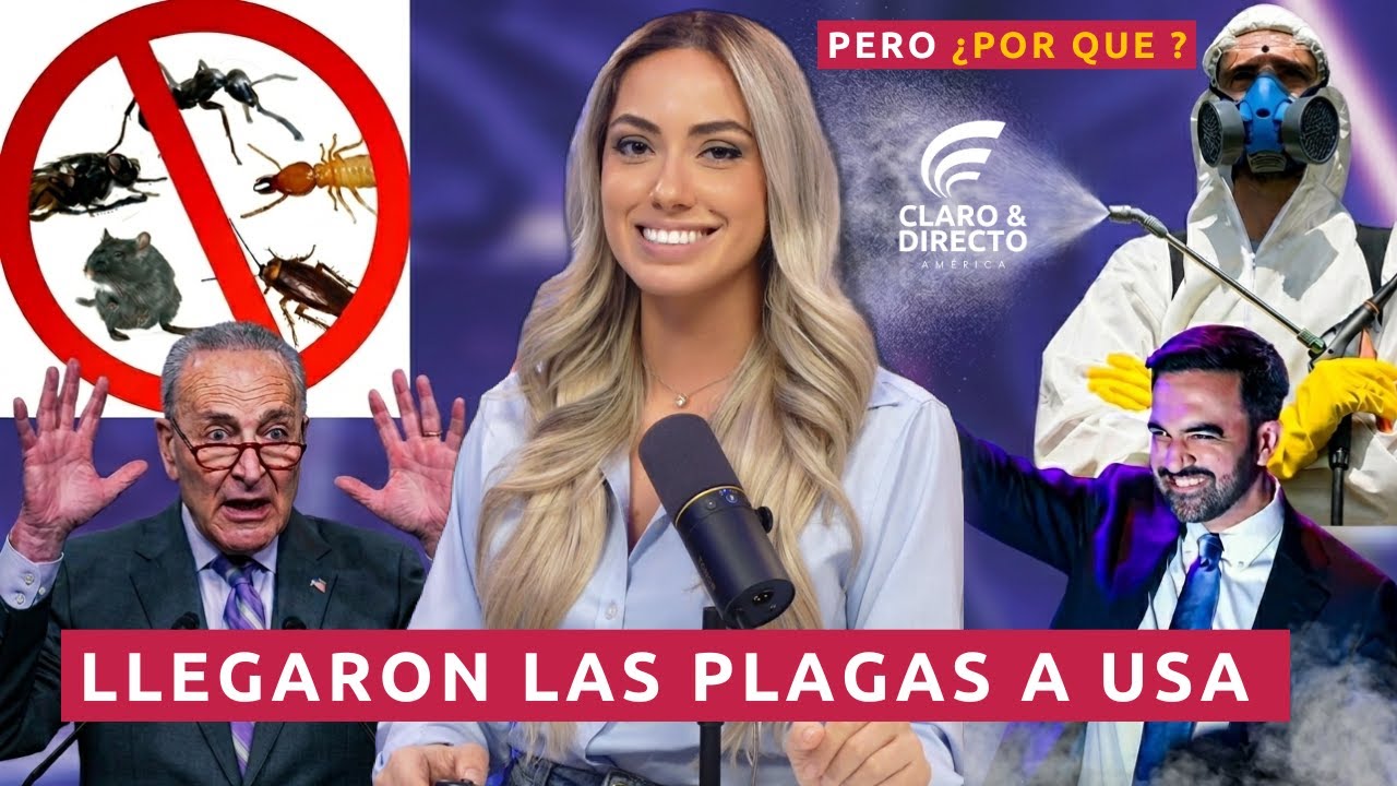 ¿Garrapatas MUTANTES? El extraño boom de ticks, alergias a la carne y las teorías sobre Bill Gates