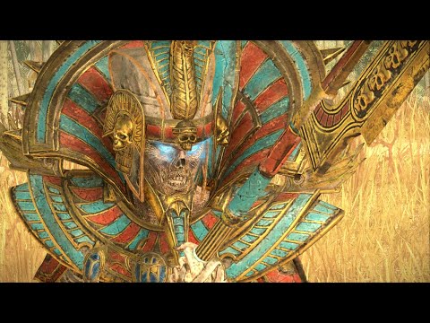 Settra Vortex Campaign Livestream