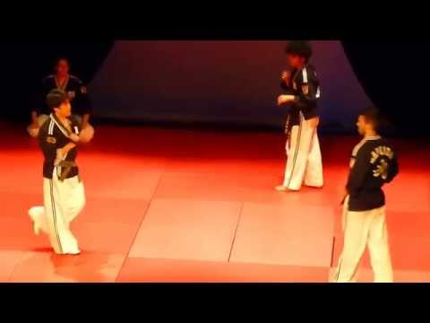 NAMT 2014 - Hapkimudo, avec Kang Jong Lee