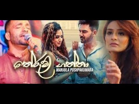 Therum gaththa _තේරුම් ගත්තා  (new song)