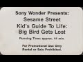 Sesame Street Kids Guide To Life Big Bird Gets Lost Promotional Copy Version 2
