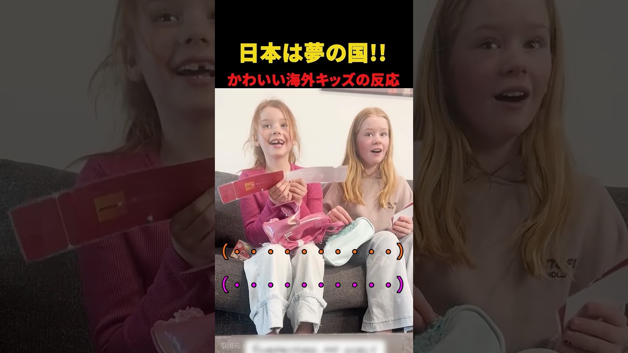 日本は夢の国？！驚いた外国人姉妹の理由