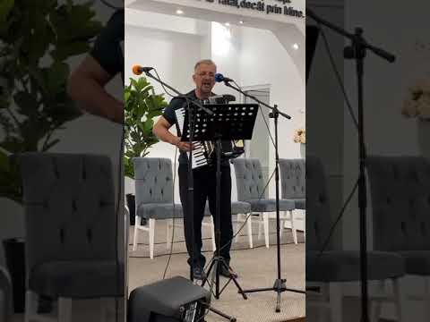 De cate ori suspin și plâng - Puiu Chibici