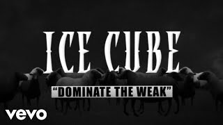 Dominate the Weak Music Video