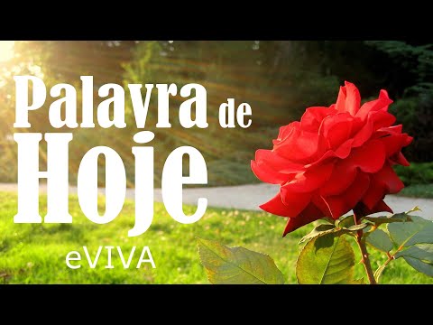 WORD OF THE DAY OCTOBER 8, 2023 | DAILY DEVOTIONAL | MOTIVATIONAL AND LIFE REFLECTION eVIVA