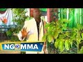 Bosco Mulwa Mukii