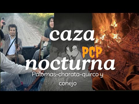 Caza Con PCP y visor nocturno/palomas-charata-conejo.