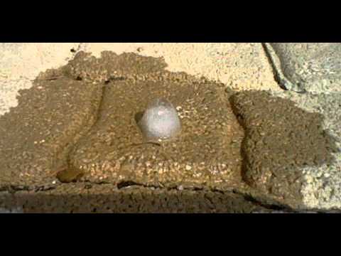 How does an ice cube melt