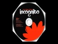 Incognito - Deep Waters - Feat. Maysa Leak 
