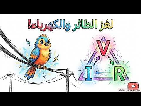 (5) لماذا لا يتكهرب الطائر على سلك الجهد العالي؟ + حيلة مثلث أوم السحرية 📐