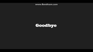 Sam Hunt- Goodbye ~Lyrics~