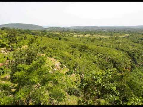 Mama yergué Barry -Adouna