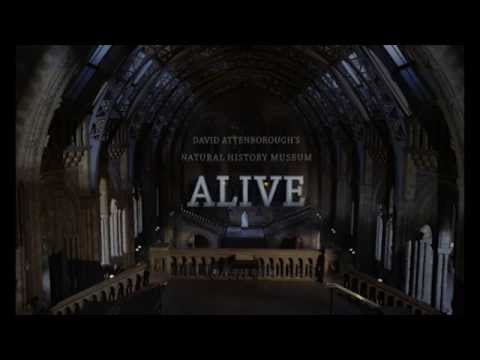 David Attenborough's Natural History Museum Alive Trailer - Wildscreen Festival 2014 - Submission