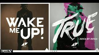 Avicii - Wake Me Up X Lay Me Down ( Mashup by TC.S )