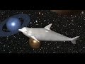 Broken Keys - Dolphin Dance (Official Video)