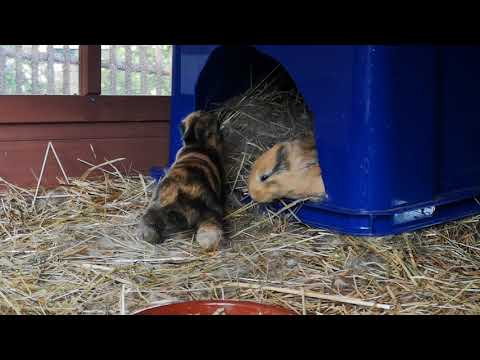 Der erste Ausflug unserer Kleinen Japaner