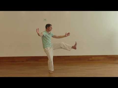 Tai Chi Chuan short form according to Cheng Man Ching